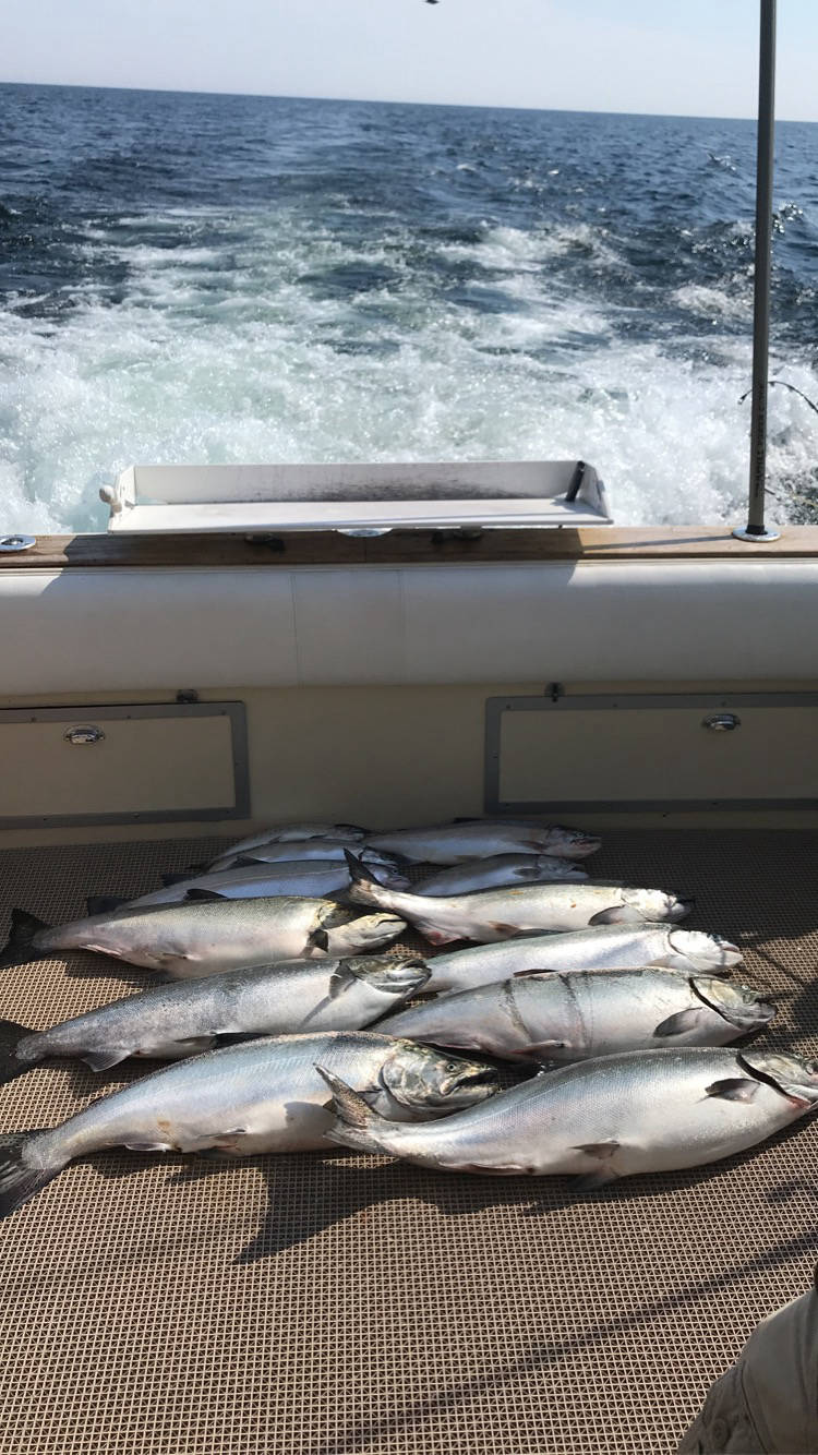 Outcast Sport Fishing 174
