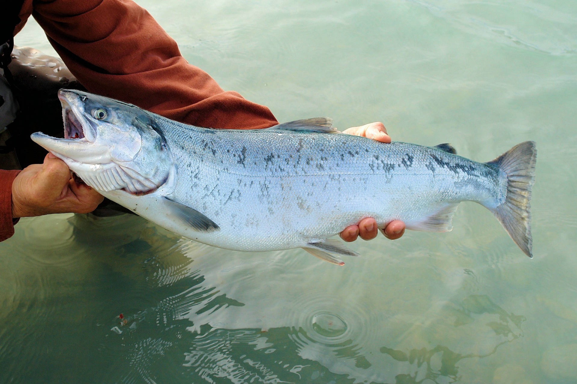 Outcast Sport Fishing 146