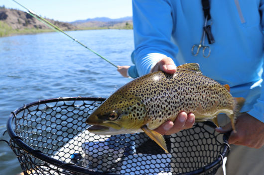 Outcast Sport Fishing 147
